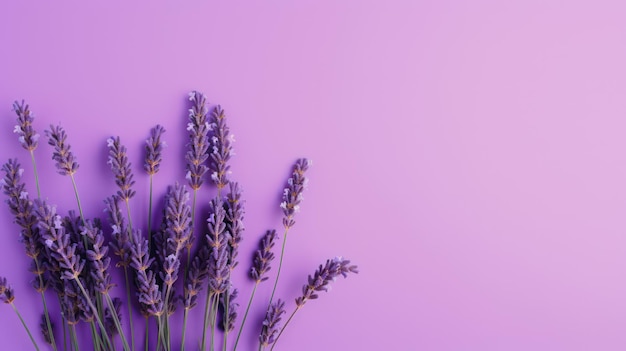 Estilo mínimo de flores de lavanda em um fundo roxo gerado por IA