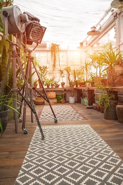 Estilo de tendencia de biofilia. Detalles del patio con plantas de interior en macetas.