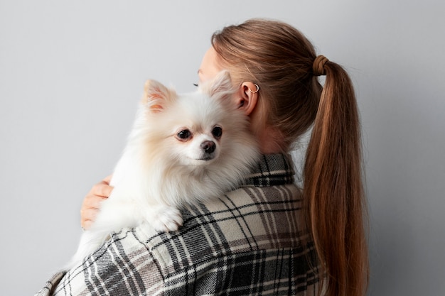 Estilo de vida de perro lindo en el interior