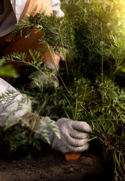 Estilo de vida de la persona ecológica.