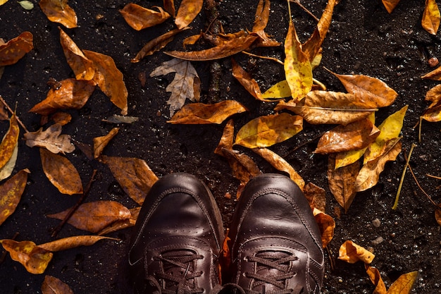 Estilo de vida. Zapatillas negras en el otoño lluvioso camino de hojas caídas. Vista superior