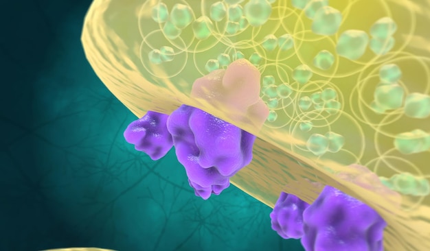 Foto los estimulantes psicomotores y los neurotransmisores