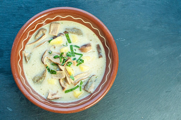 estofado de sopa de champiñones receta clásica tradicional de plato nacional con champiñones porcini cocina ucraniana