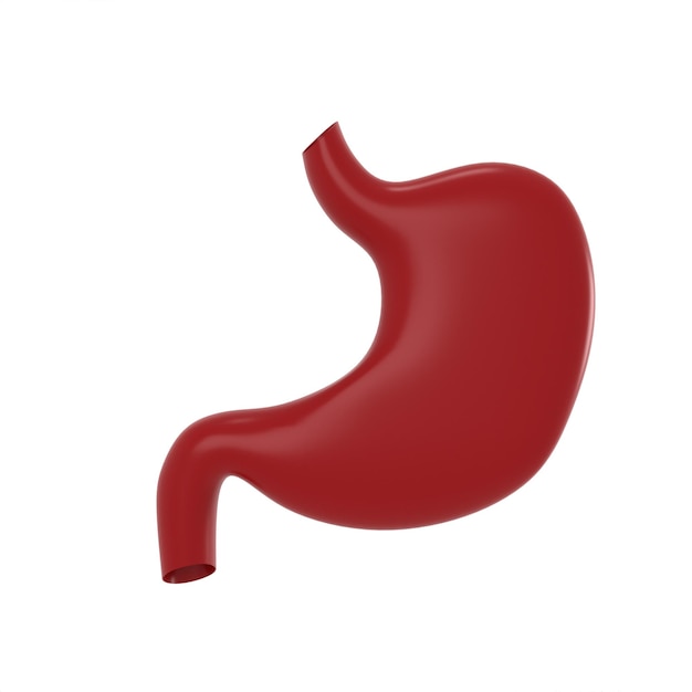 Foto un estómago rojo sobre fondo blanco.