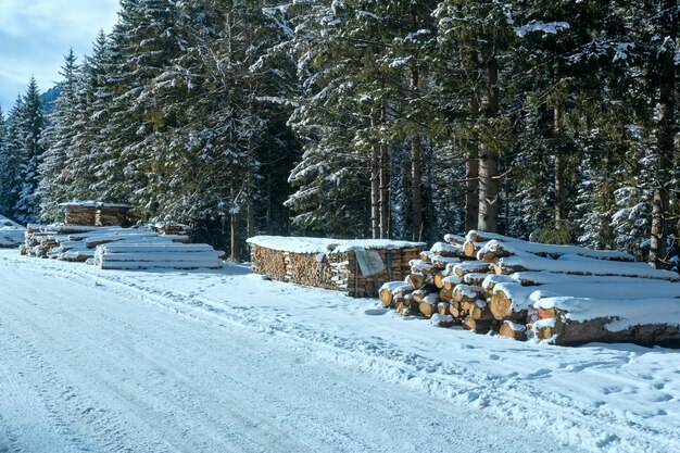 Estoque de lenha ao longo da estrada rural de inverno, perto da floresta de abetos.