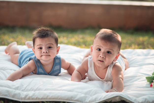 Foto estoque, foto, fim, cima, retrato, bebê recém-nascido