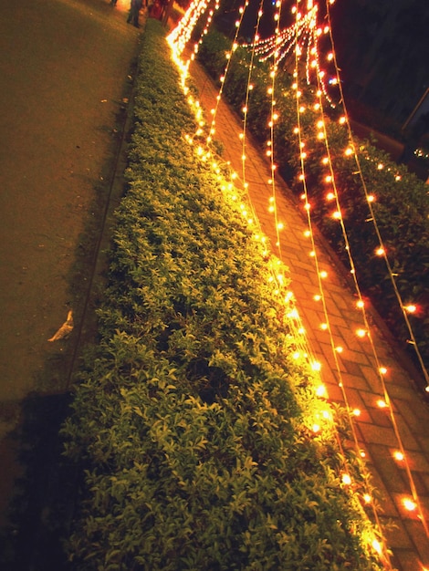 Foto estrada à noite