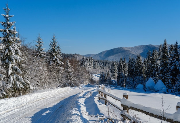 Estrada alpina rural secundária para remota aldeia de montanha através de neve na floresta de abetos nevadas e cerca de madeira na beira do caminho