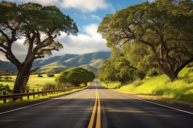 Foto estrada arborizada desaparecendo à distância