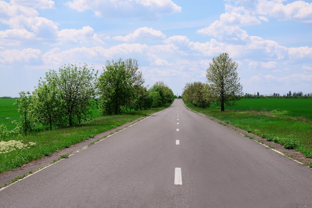 Estrada asfaltada através do campo verde na primavera