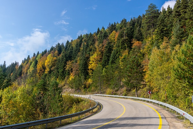 Estrada asfaltada em uma floresta colorida de outono sob um céu azul