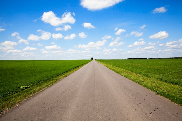Estrada asfaltada, passando por um campo agrícola