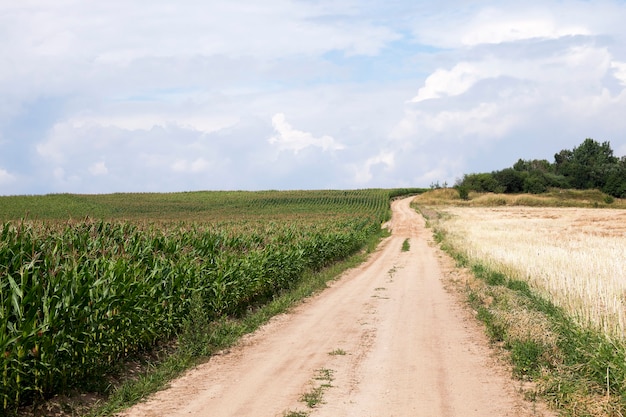 Estrada asfaltada, passando por um campo agrícola