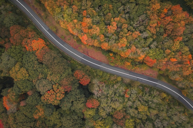 Estrada através de uma rota cênica de outono