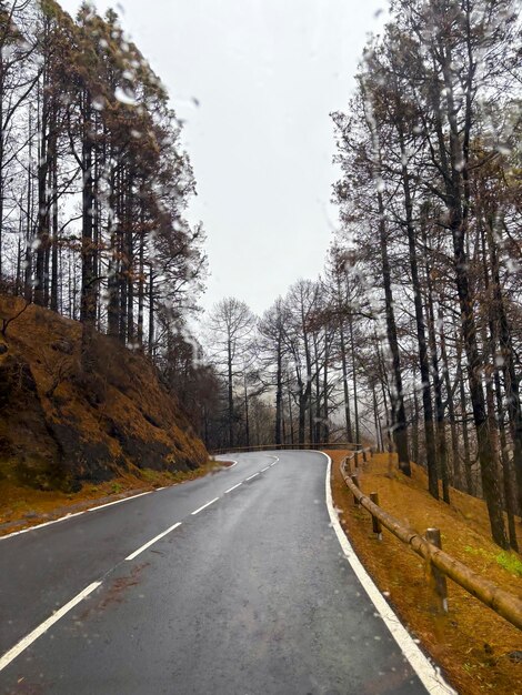 Estrada cênica em mau tempo chuvoso conceito de viagem com longa estrada reta de asfalto na natureza com árvores e florestas floresta em torno de estilo de vida de viagem destino cênico chuva e nuvens