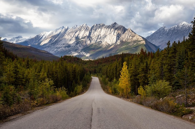 Estrada cênica nas Montanhas Rochosas canadenses