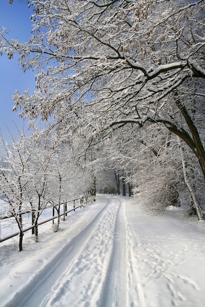 Estrada coberta de neve na zona rural