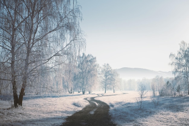 Estrada com árvores cobertas de gelo na floresta de inverno ao nascer do sol nevoento