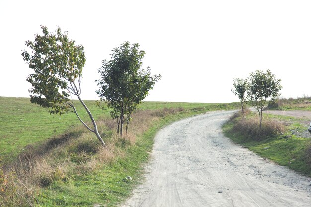 estrada com campo