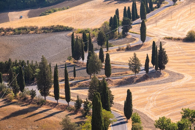 Estrada com ciprestes na Toscana na paisagem toscana típica do pôr do sol