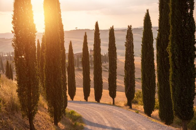 Estrada com ciprestes no pôr do sol na Toscana Itália