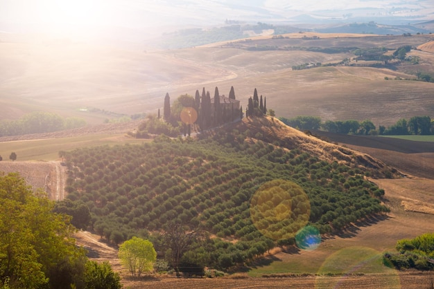 Estrada com ciprestes no pôr do sol na Toscana Itália