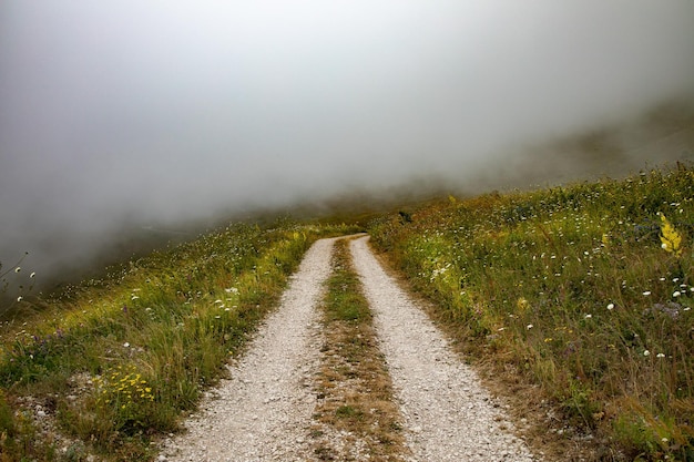 Foto estrada com neblina na montanha