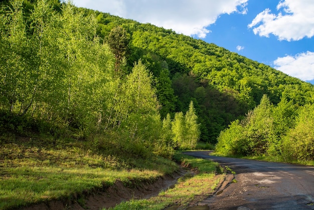 Estrada curva perto de florestas e montanhas na zona rural