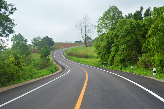 estrada curva