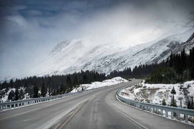 Estrada da estrada com a montanha de neve em sombrio no Icefields Parkway