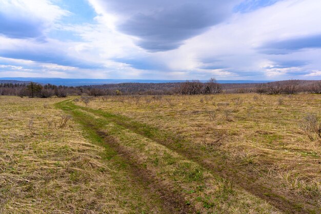 Estrada da floresta ural do sul com uma vegetação paisagística única e diversidade da natureza na primavera