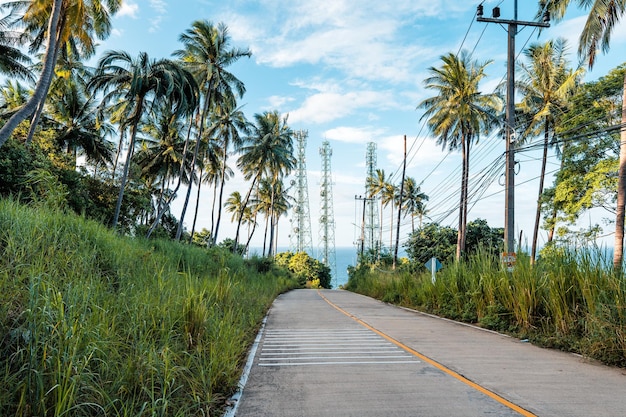 Estrada da ilha e coqueiros