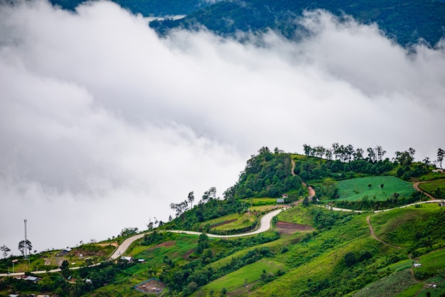 Estrada da montanha em (phu tubberk) no parque nacional de Phu Hin Rong Kla