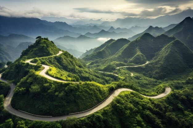 Estrada da Montanha Serpentine em meio à vegetação exuberante