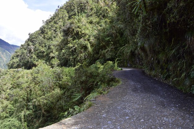 Estrada da morte Camino de la Muerte Yungas North Road entre La Paz e Coroico Bolívia