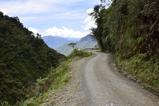 Estrada da morte Camino de la Muerte Yungas North Road entre La Paz e Coroico Bolívia