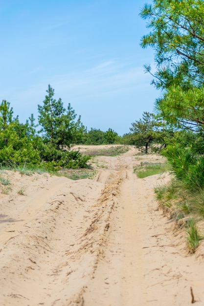 Estrada de areia na pista para a competição