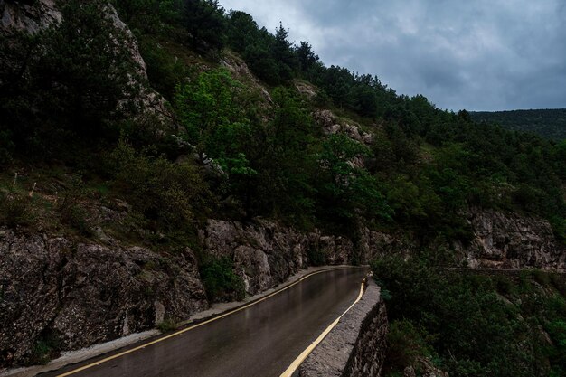 Estrada de asfalto através da floresta de montanhas na estação chuvosa