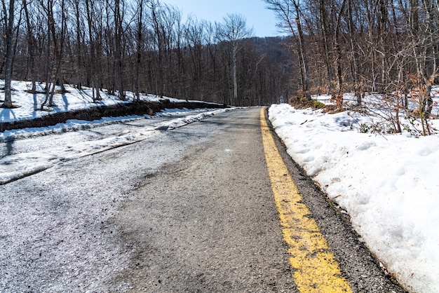 Estrada de asfalto coberta de neve na floresta