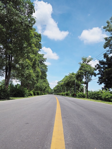 Estrada de asfalto com árvores verdes ao lado