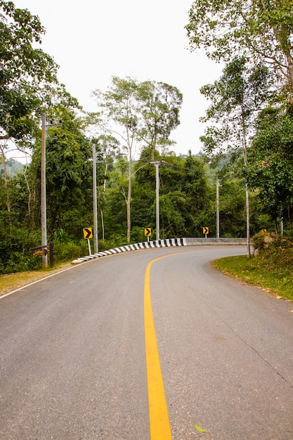 Estrada de asfalto curvada na floresta