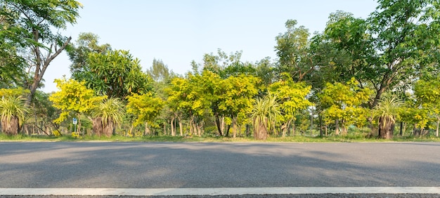 Estrada de asfalto da estrada vazia no parque verde da paisagem