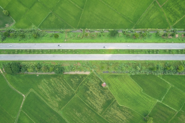 Estrada de asfalto de vista superior no meio de campos de arroz jovem verde