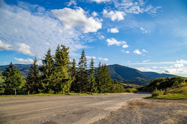 Estrada de asfalto perto da floresta de coníferas que leva às montanhas