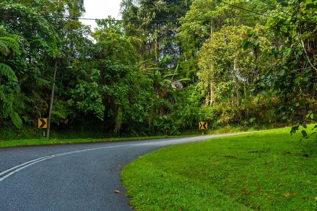 Estrada de asfalto serpentina de montanha na selva montanhosa asiática.