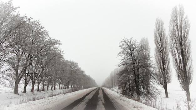 Estrada de asfalto vazia coberta de neve com árvores geadas em ambos os lados.