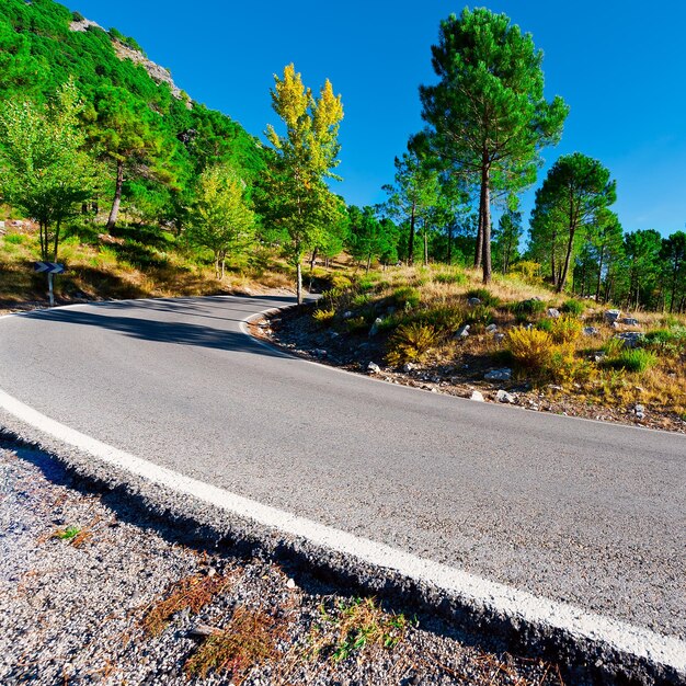 Estrada de asfalto