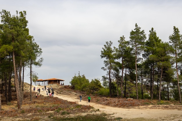 Estrada de caminhada através do ambiente saudável da floresta