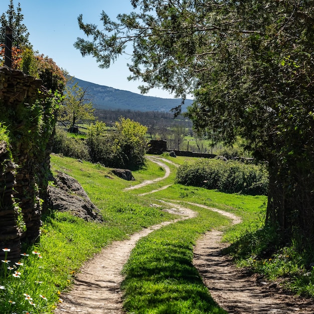 Foto estrada de campo dirigindo ao longo de um pasto verde em um cenário idílico guadalajara espanha