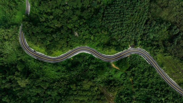 Estrada de curva bonita na floresta verde nas rotas rurais de fundo da estação das chuvas que conectam cidades no norte da tailândia